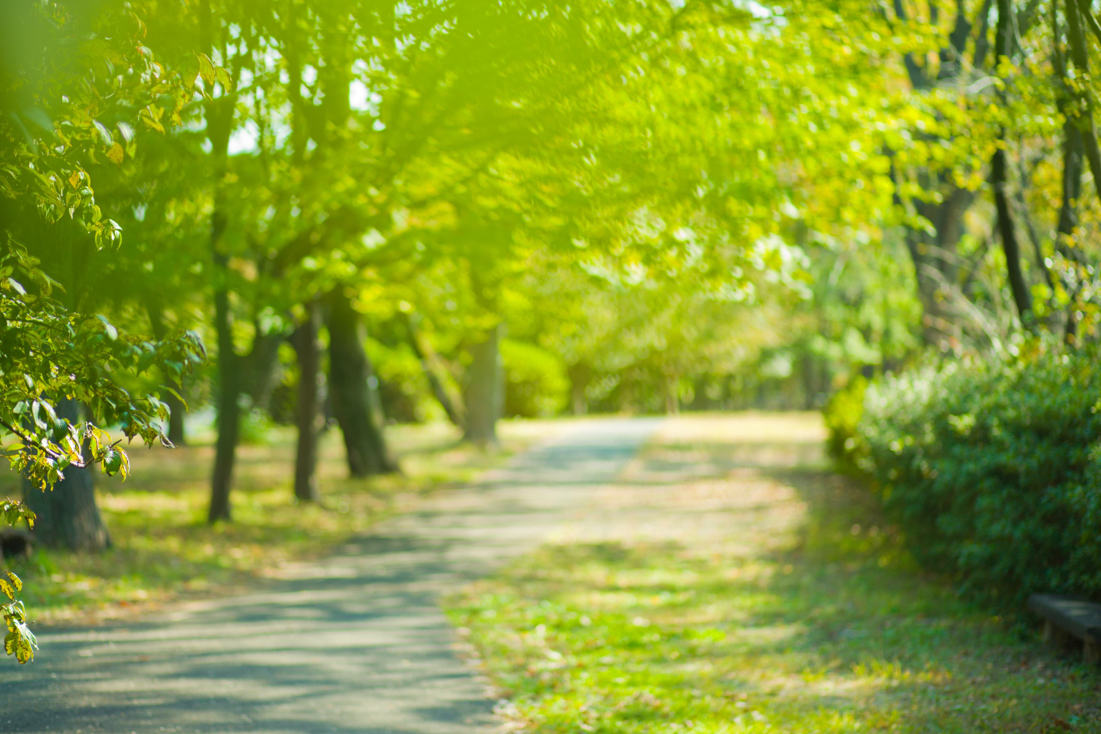 サービスエリア背景
